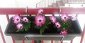 Halterungen für Blumenkästen
