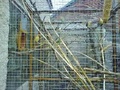 Drahtgewebe für Volieren