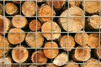 Gabionennetz 500x500 mm, Maschenweite 100x100 mm