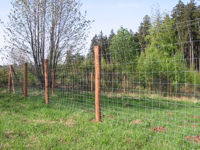 Tschechischer WIldschutzzaun 2.2/1800/100 - Ermässigung 30%
