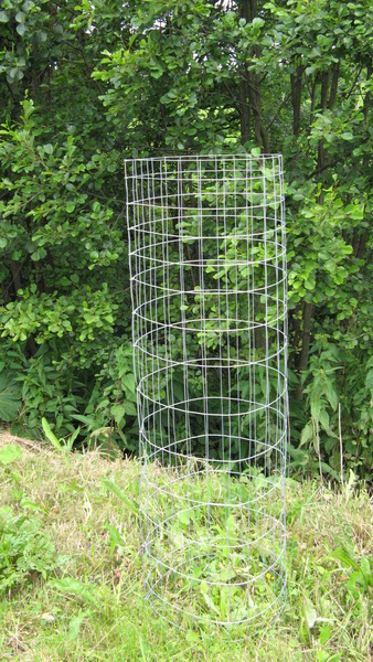 Individual Baumschutz 1000x1400